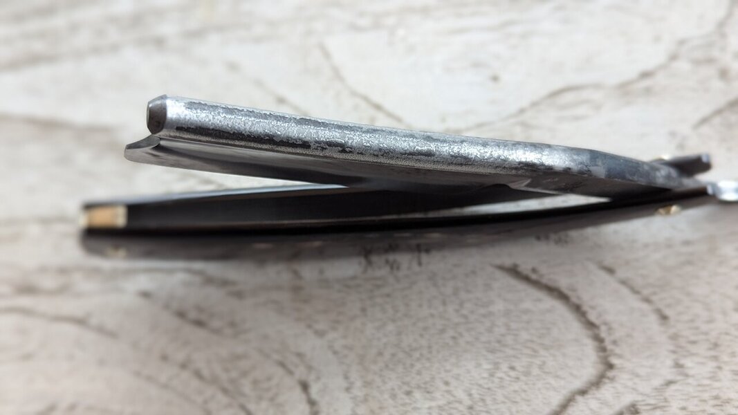 PXL_20251115_090608484.PORTRAIT.jpg PXL_20251115_090608484.PORTRAIT.jpg