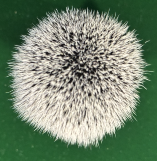 Bildschirmfoto 2025-11-24 um 10.42.14.png