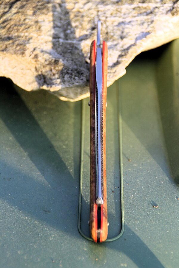 IMG_6337.JPG IMG_6337.JPG