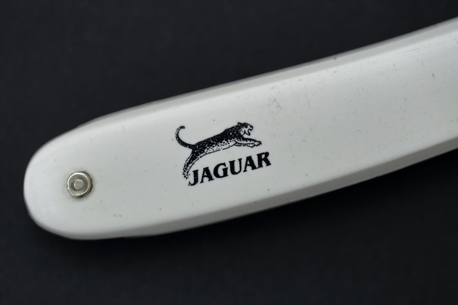 2021-04-17_Jaguar_0003.JPG