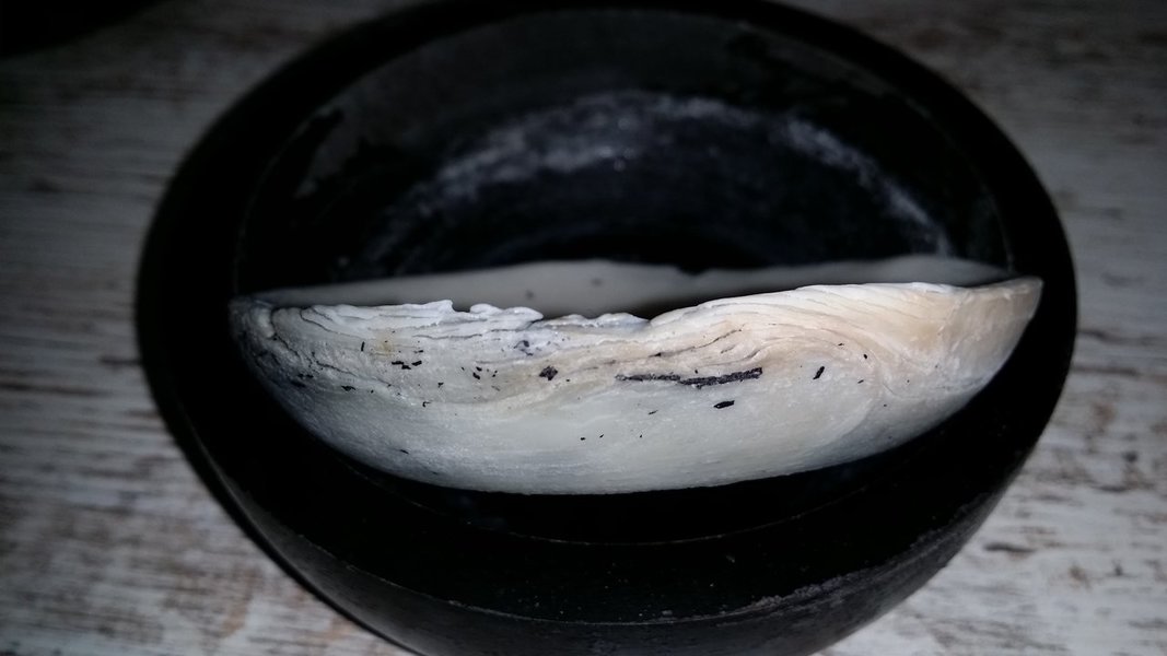 20211026_163426.jpg 20211026_163426.jpg