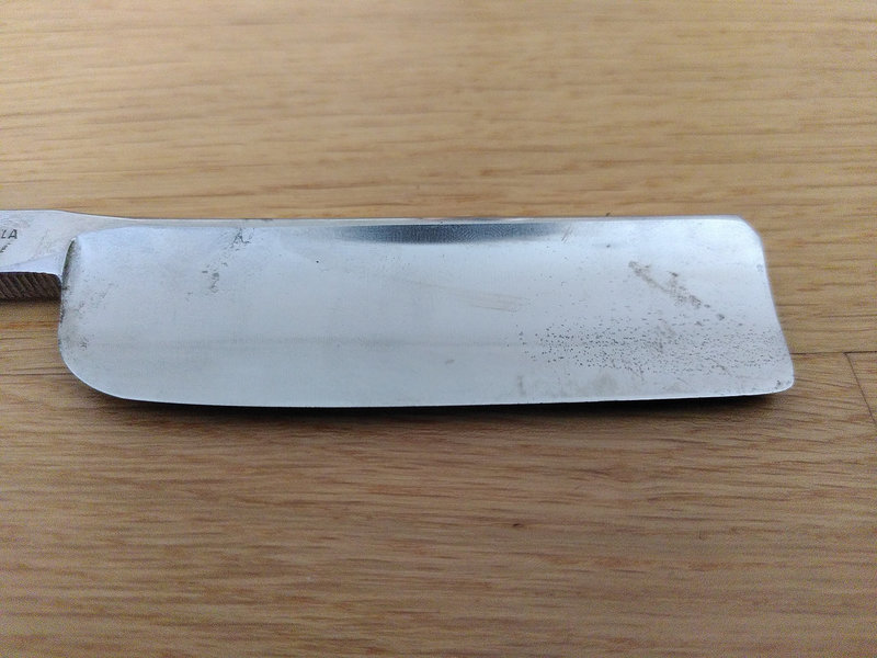 IMG_20220729_161144.jpg