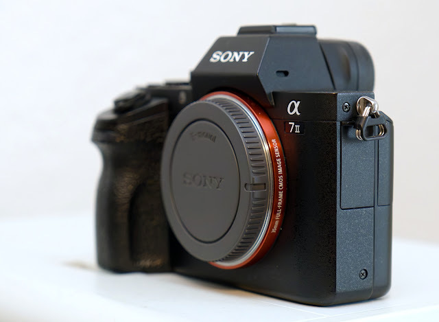 50877109ci.jpg