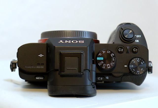 50877110dg.jpg