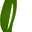 www.defnesabun.com