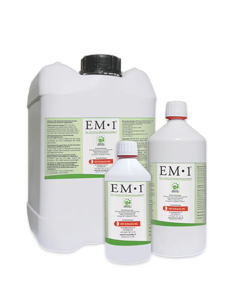 www.em-schweiz.ch