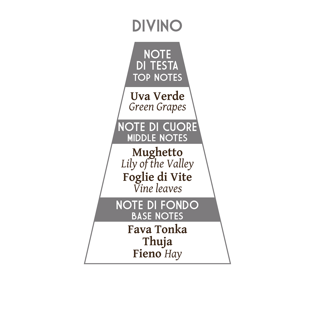 jHCPg0s.png