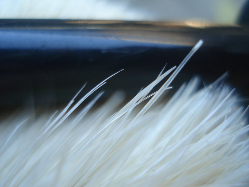 34040337hl.jpg