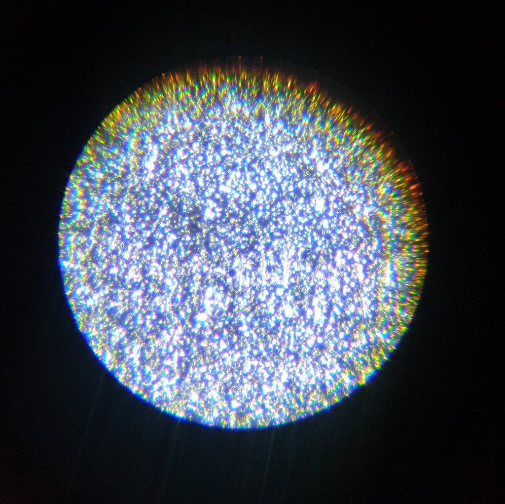 43113262ga.jpg