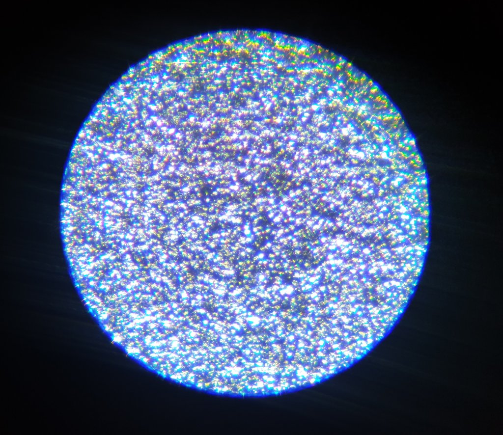 43113263sy.jpg