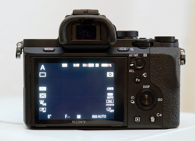 50877107jo.jpg