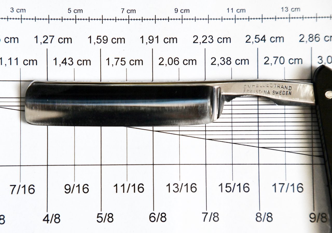 47167919tn.jpg