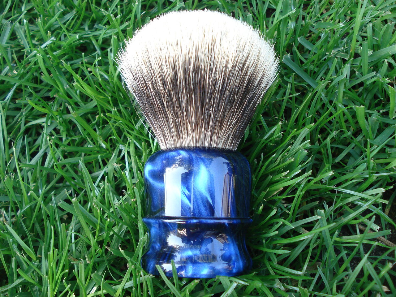 50168559se.jpg