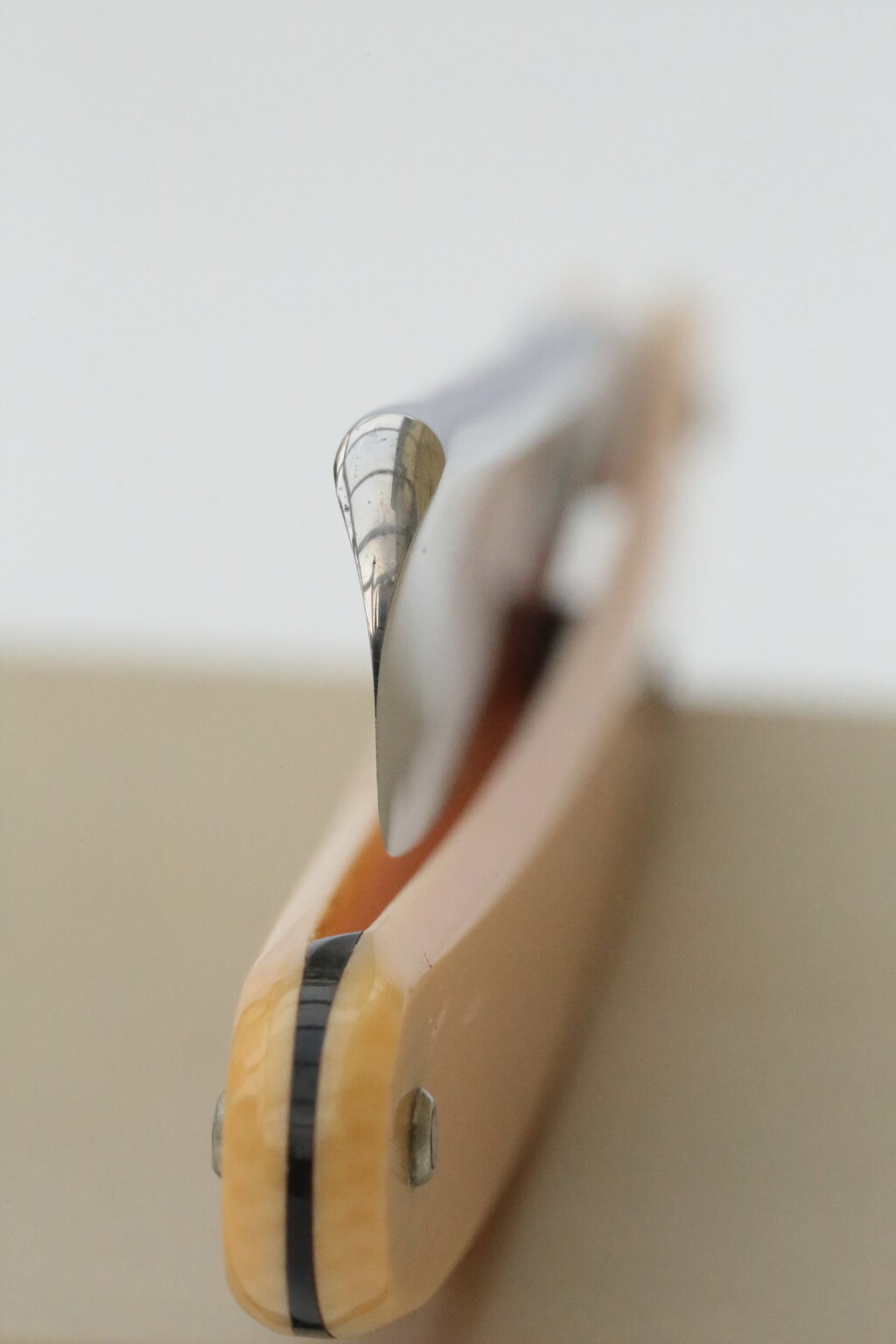 50097335zw.jpg